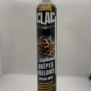 Guêpes et frelons - spécial nids