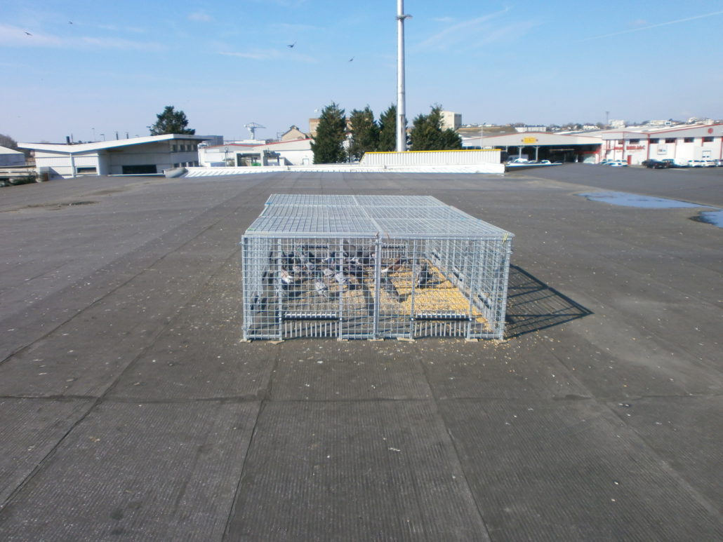 Service Technique d'Hygiène à Angers et La Rochelle